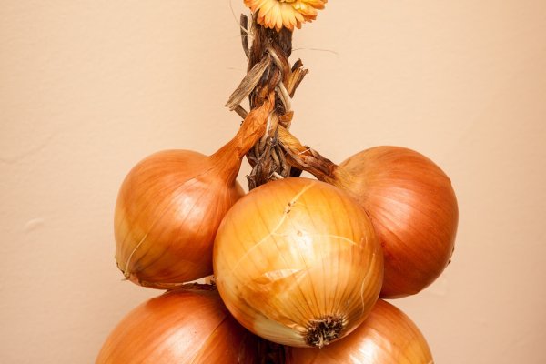 Блэкспрут сайт BlackSprutruzxpnew4af onion